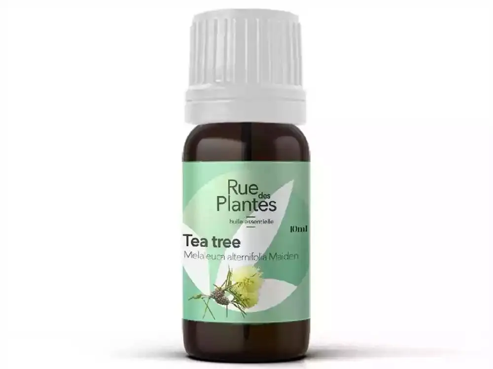 HUILE ESSENTIELLE TEA TREE BIO 20ml